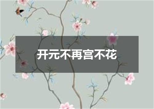 开元不再宫不花