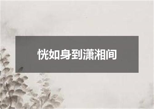 恍如身到潇湘间