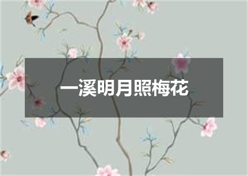 一溪明月照梅花