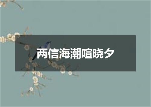 两信海潮喧晓夕