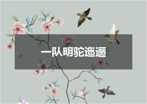 一队明驼迤逦