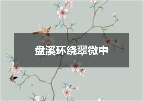 盘溪环绕翠微中