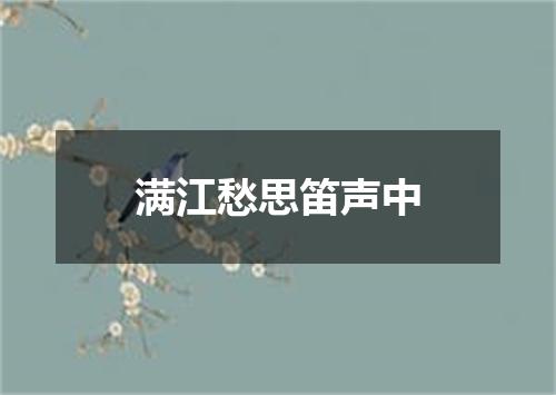 满江愁思笛声中