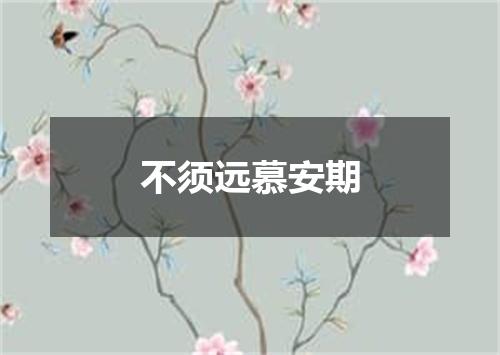 不须远慕安期