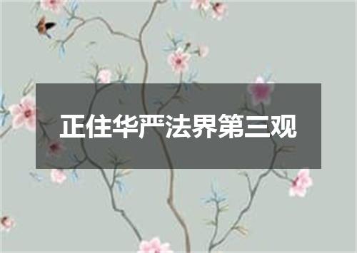 正住华严法界第三观