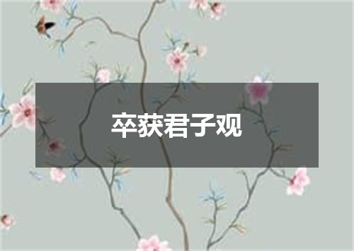 卒获君子观