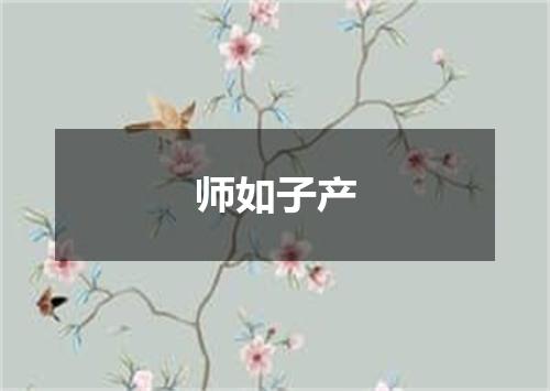 师如子产