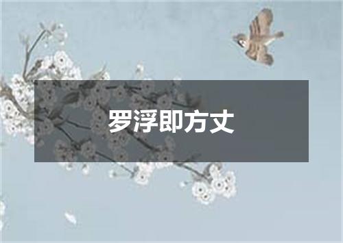 罗浮即方丈