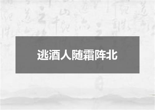 逃酒人随霜阵北