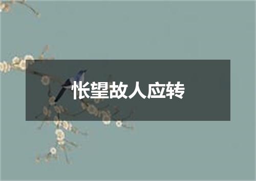 怅望故人应转