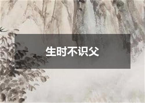 生时不识父