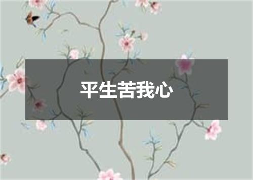 平生苦我心