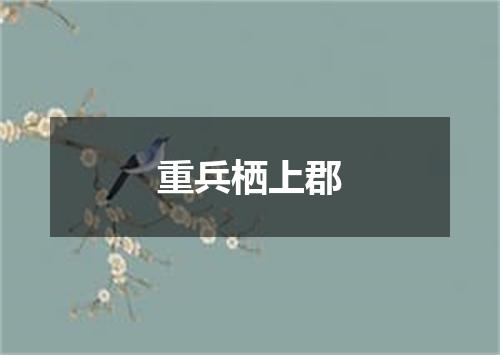 重兵栖上郡