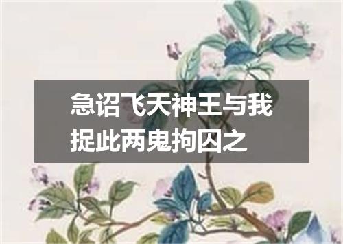 急诏飞天神王与我捉此两鬼拘囚之