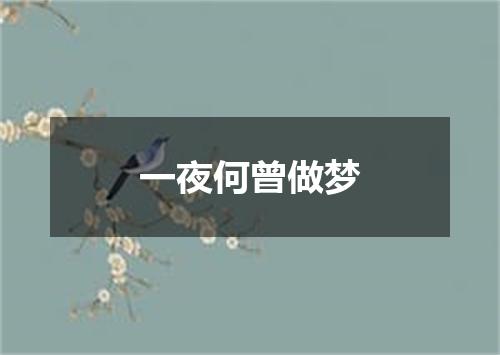 一夜何曾做梦