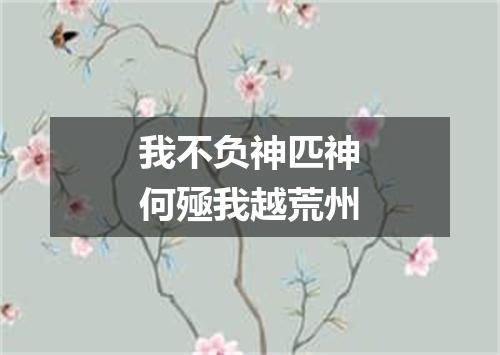 我不负神匹神何殛我越荒州