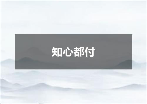 知心都付