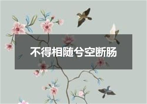 不得相随兮空断肠