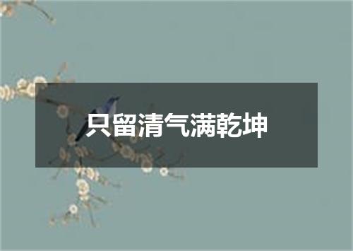 只留清气满乾坤