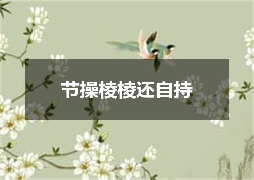 节操棱棱还自持