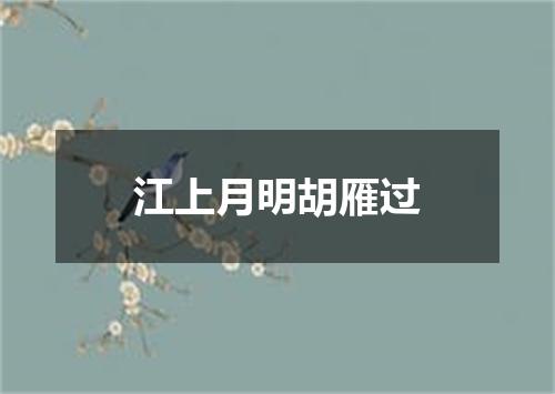 江上月明胡雁过