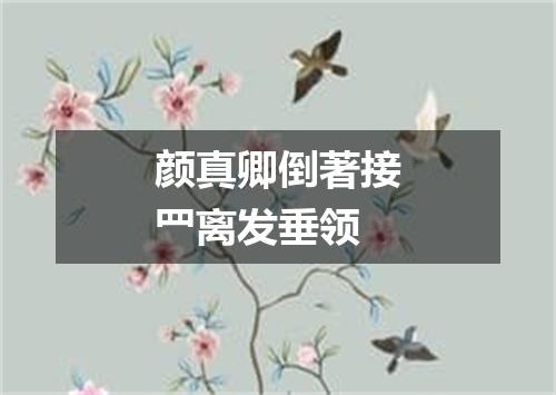 颜真卿倒著接罒离发垂领