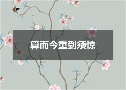 算而今重到须惊