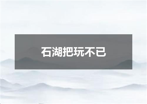 石湖把玩不已