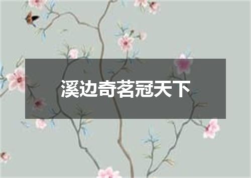 溪边奇茗冠天下