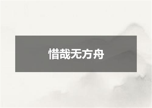 惜哉无方舟