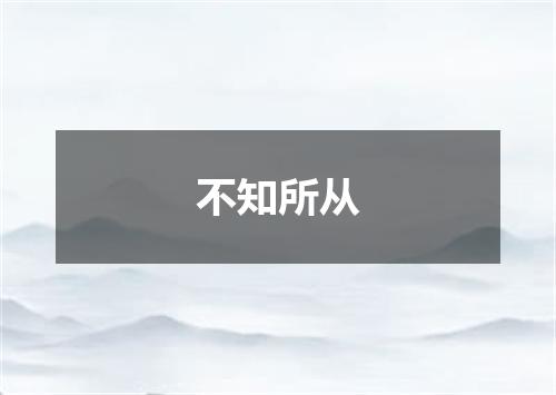 不知所从