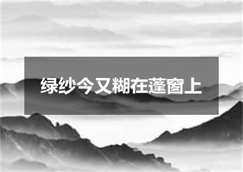 绿纱今又糊在蓬窗上