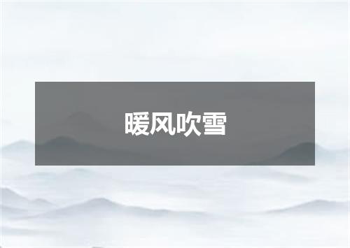 暖风吹雪