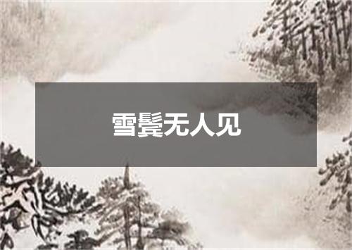 雪鬓无人见