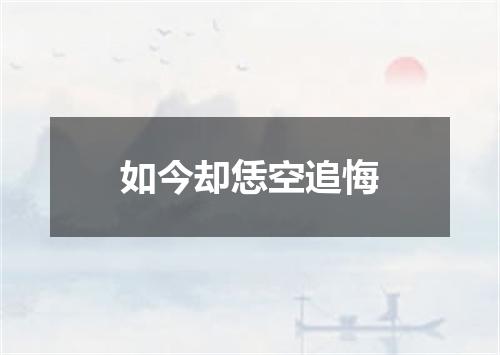 如今却恁空追悔