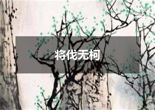 将伐无柯