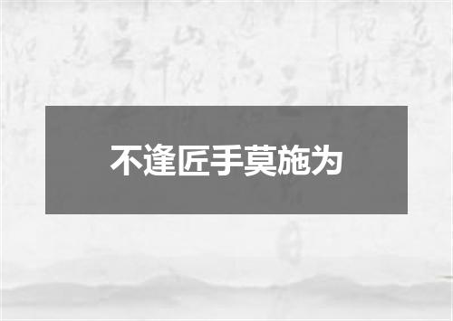 不逢匠手莫施为