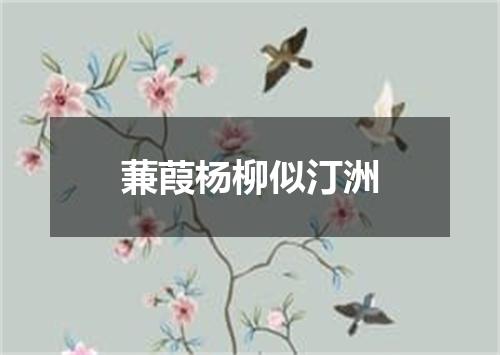 蒹葭杨柳似汀洲