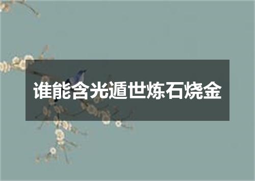 谁能含光遁世炼石烧金