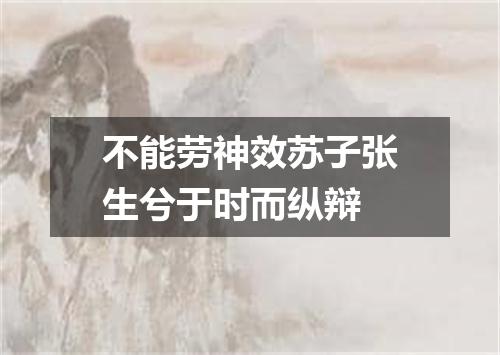 不能劳神效苏子张生兮于时而纵辩