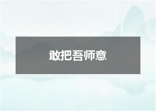 敢把吾师意