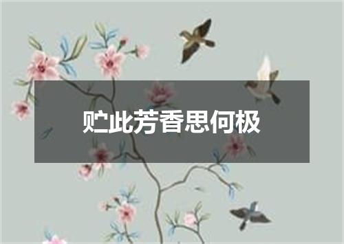 贮此芳香思何极