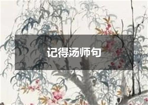 记得汤师句