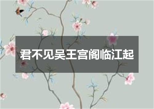 君不见吴王宫阁临江起