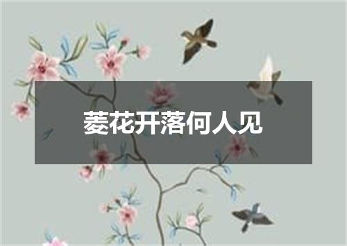 菱花开落何人见