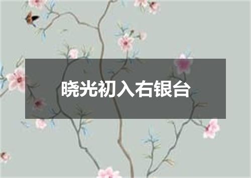 晓光初入右银台