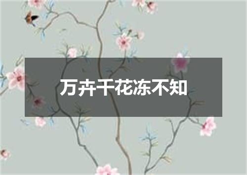 万卉千花冻不知