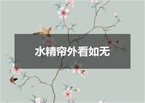 水精帘外看如无