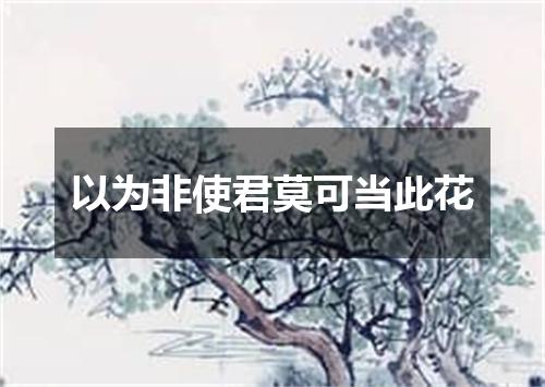 以为非使君莫可当此花