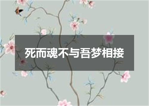 死而魂不与吾梦相接